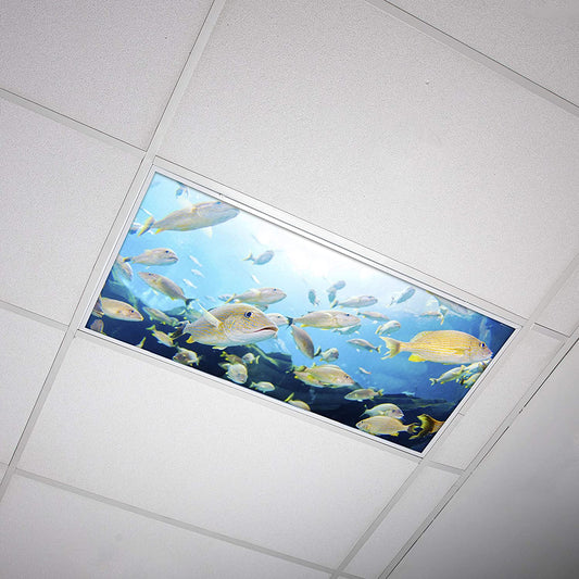 Fluorescent Light Covers for Ceiling Lights Classroom 2X4 (22.38In X 46.5In) Improve Focus, Eliminate Headaches, Provide Florescent Light Relief - Ocean 004